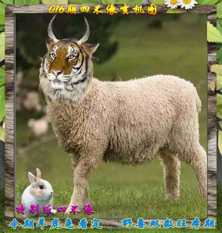 016期四不像特别版[图]
